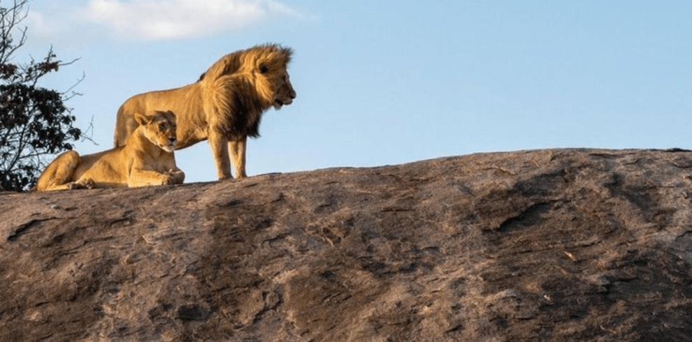 LEGACY SAFARI DESTINATIONS