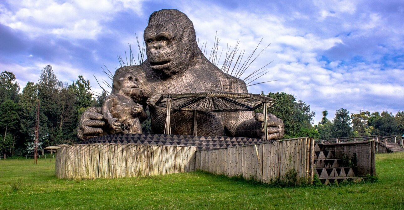 Rwanda Epic Safari Adventure: Journeys by Legacy Destinations & DMC